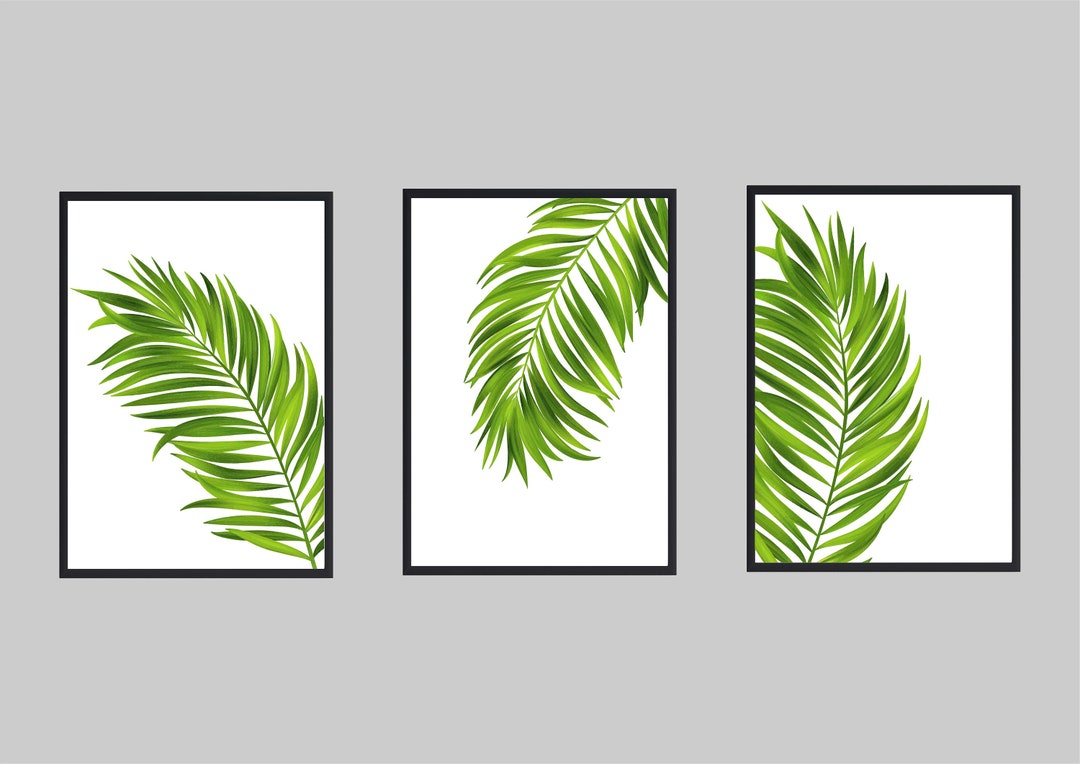 Fern Wall Art Fern Digital Collection Fern Instant Download Etsy