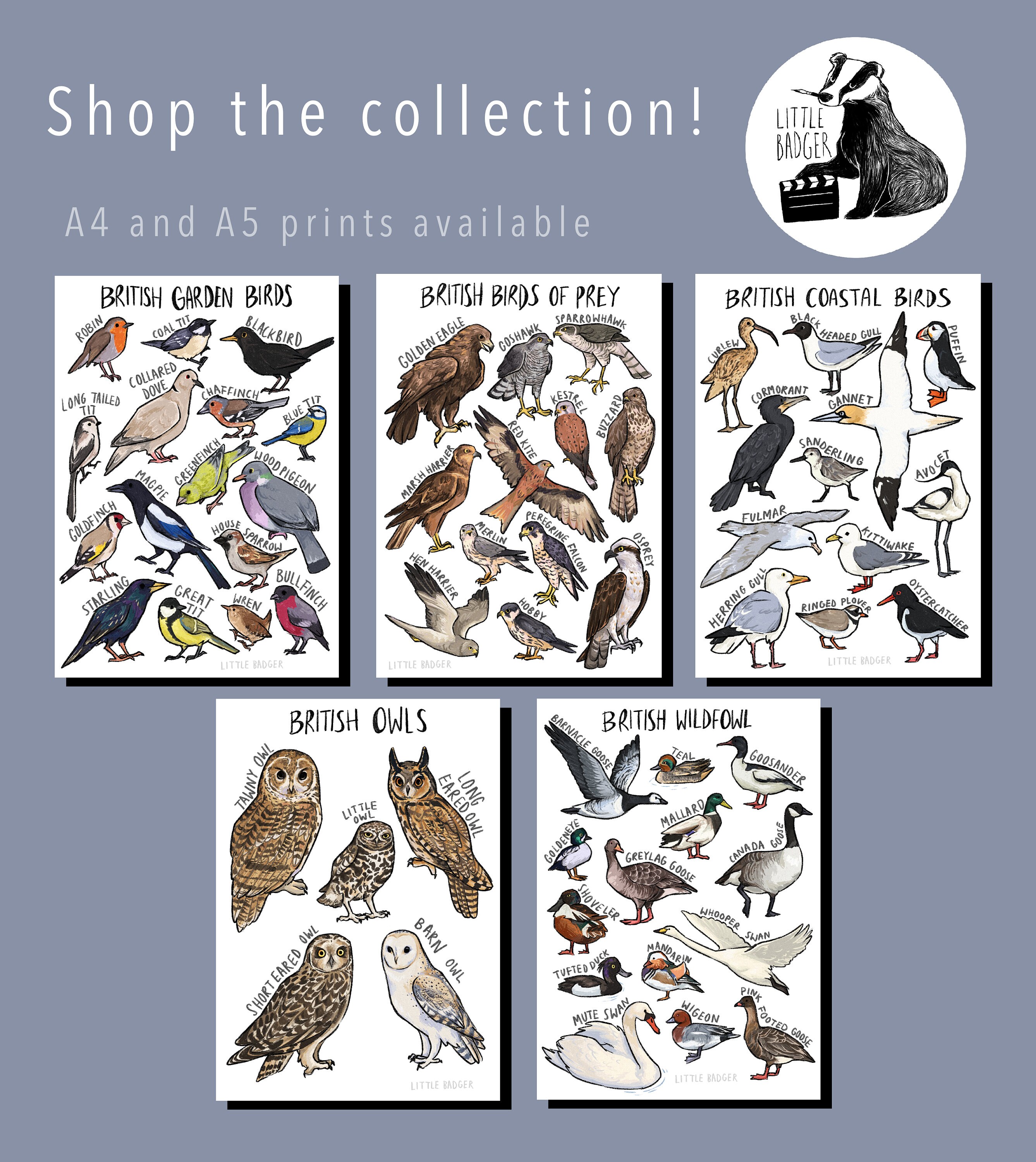 Pin by Anthony & Cheryl on bird posters  Birds of prey, British birds of  prey, Wild birds