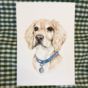 May include: Watercolor painting of a light brown and white dog with floppy ears. The dog is wearing a blue collar with a silver tag.