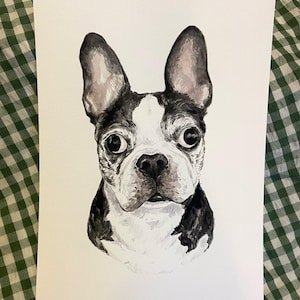 May include: Watercolor painting of a black and white Boston Terrier dog with big brown eyes. The dog is looking directly at the viewer.