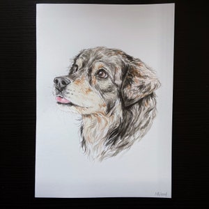 May include: Watercolor painting of a dog's head. The dog has black and brown fur and is looking up and to the right. The painting is on a white background.