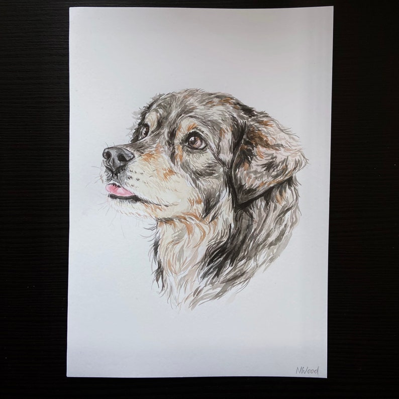 May include: Watercolor painting of a dog's head. The dog has black and brown fur and is looking up and to the right. The painting is on a white background.