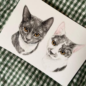 May include: Watercolor painting of two cats. One cat is gray with white markings and the other is white with gray markings. Both cats have orange eyes.