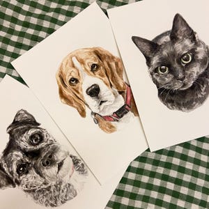 May include: Three watercolor paintings of pets. The first painting is of a black cat with green eyes. The second painting is of a brown and white beagle. The third painting is of a black and gray schnauzer.