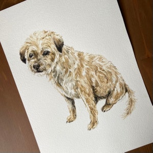 May include: A watercolor painting of a brown and white terrier dog with a fluffy coat. The dog is sitting with its head tilted to the side and its tongue slightly sticking out.