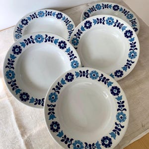 Vintage set of 5 plates RICHARD GINORI LAVENO blue decals made in Italy 1960s