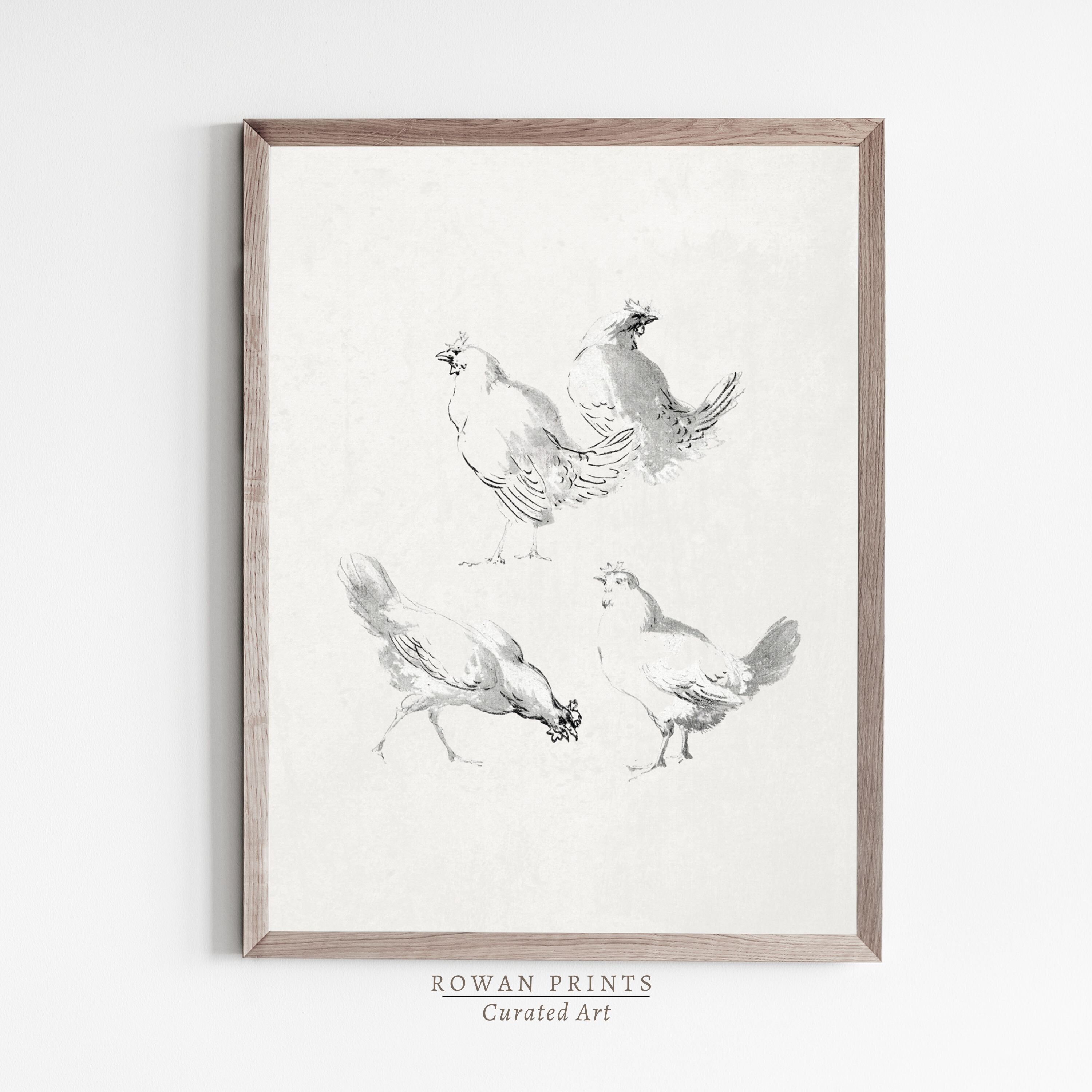 Vintage Chicken Sketch Antique Botanical Drawing Farmhouse Kitchen Wall ...