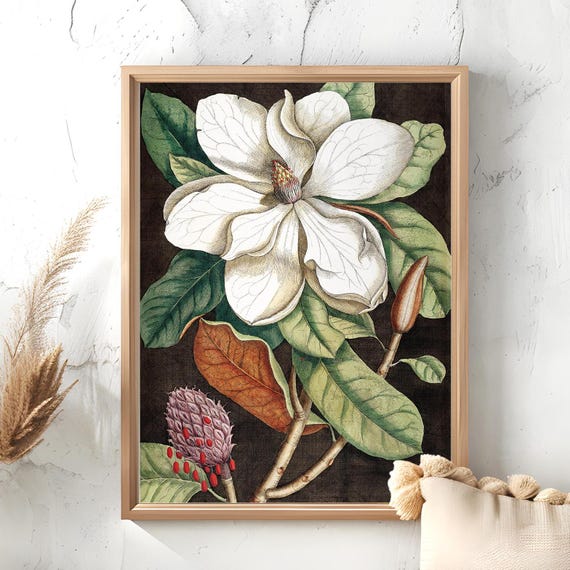 Vintage Blossom Flower Print Art Nouveau Illustration 