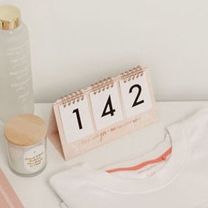 May include: A pink desktop calendar with three white squares showing the numbers 1, 4, and 2. The calendar is on a white surface.