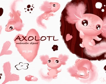 Clipart de acuarela de ajolote rosa: Salamandra kawaii PNG (Descarga digital)