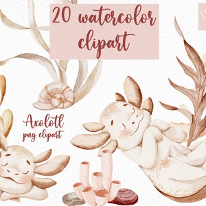 Watercolour Axolotl png, nursery beige  axolotl clipart  with seaweeds for t-shirt sublimation, kawaii salamander, amphibians