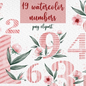 Watercolor Numbers Clipart with flowers and leaves, Floral Number png. Pink symbols digital individual PNG files, high resolution.