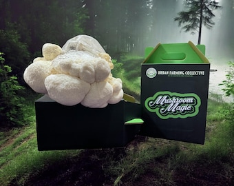 Organic Lions Mane Mushroom Grow  Kit