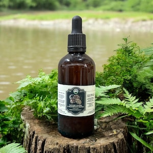 A bottle of mushroom tincture in nature