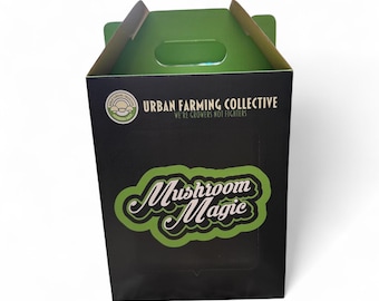 All in One bags for mushroom cultivation with Injection Port (2kg)