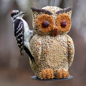 Bird Buddy Owl Hanging Wild Bird Seed Feeder (Bird Lover Gift)