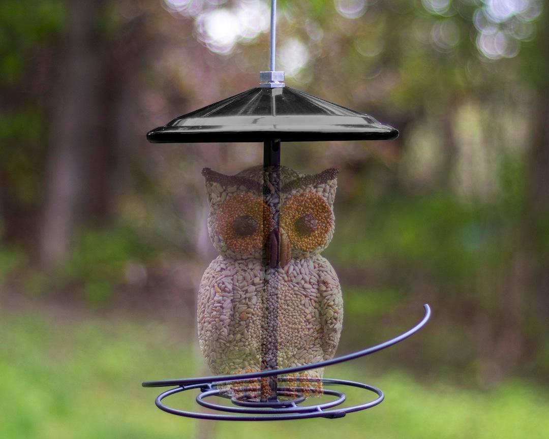 Wild Bird Seed Cylinder/log Feeder metal With Rain Guard Black Etsy