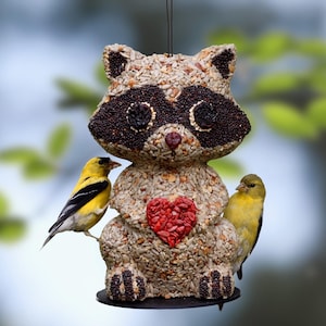 Racoon Hanging Wild Bird Seed Feeder (Anniversary / Birthday Gift)