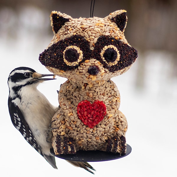 Racoon Hanging Wild Bird Seed Feeder (Anniversary / Birthday Gift)