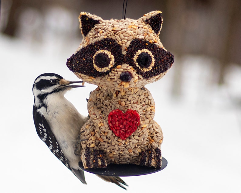 Racoon Hanging Wild Bird Seed Feeder anniversary / Valentines Etsy