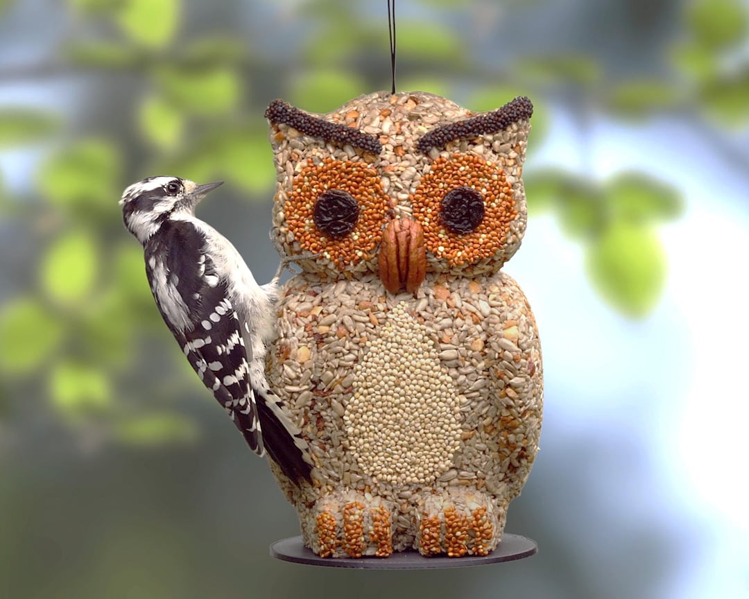 Rebecca's Bird Gardens Blog: DIY Heart Bird-Feeders ♥, image size:1080x864