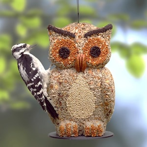 Bird Buddy Owl Hanging Wild Bird Seed Feeder (Bird Lover Gift)