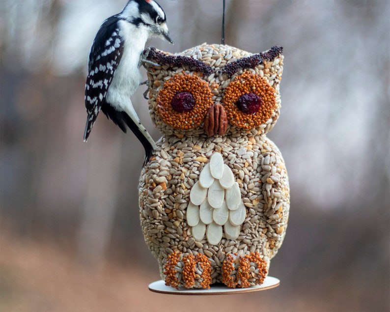 Owl Hanging Wild Bird Seed Feeder Bird Lover Gift image 1