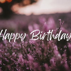 Postkarte A6 Happy Birthday – Heideblüte, Geburtstagskarte Naturmotiv, florale Karte, Blumen Grußkarte lila