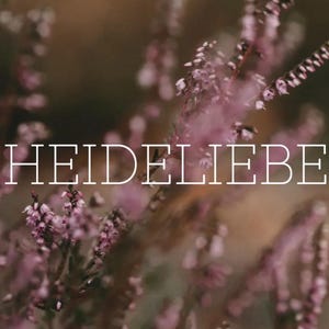 Postkarte A6 – Heideliebe (Version 2) – Heideblüte, Naturmotiv, Heideliebe Karte, lila Grußkarte, Blumenfoto, Geschenkidee