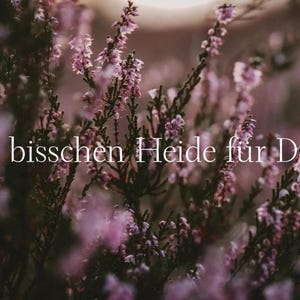 Postkarte A6 – Ein bisschen Heide für dich – Heideblüte, Naturmotiv, Heideliebe Karte, lila Grußkarte, Blumenfoto, Geschenkidee