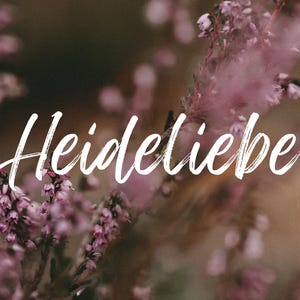 Postkarte A6 – Heideliebe – Heideblüte, Naturmotiv, Heideliebe Karte, lila Grußkarte, Blumenfoto, Geschenkidee