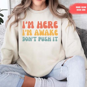 Funny Sweatshirt, Funny Gamer Sweater With Sayings, Funny Birthday Tee Gift, Funny Teen Quotes, Funny Gifts for Friend Sarcasm Shirt