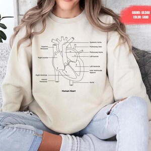 Heart Anatomy Sweatshirt, Cardiac Nursing Sweater, Nursing School Shirt, Medical School Student Shirt, Cardiologist Anatomical Heart Shirt