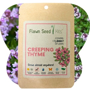 Flawn Seed Creeping Thyme Flowering Lawn Seed - Easy to Use, Kid, Pet, Pollinator & Eco-Friendly Grass Alternative