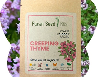 Flawn Seed Creeping Thyme Flowering Lawn Seed - Easy to Use, Kid, Pet, Pollinator & Eco-Friendly Grass Alternative