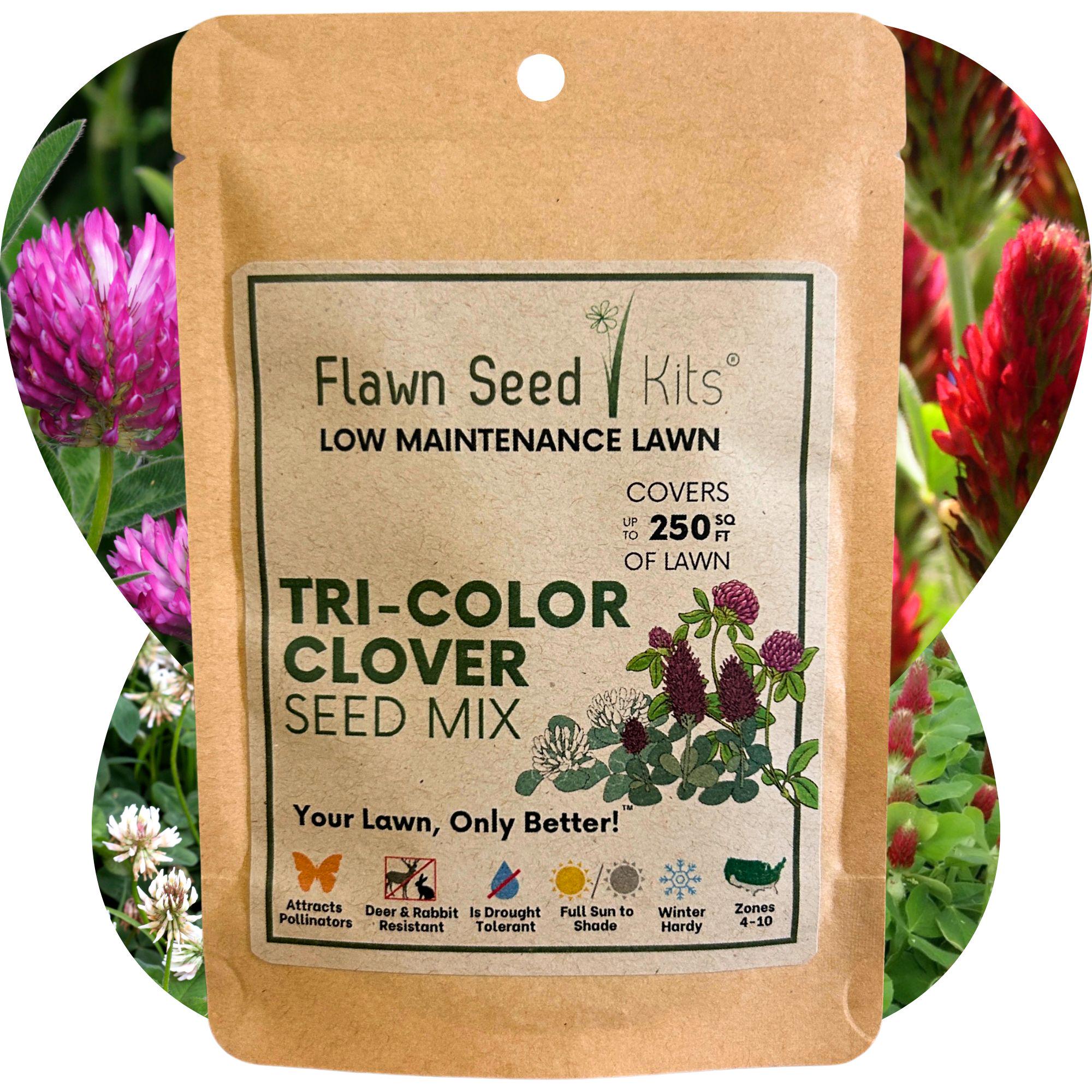 Flawn Seed Tri-Color Clover Flowering Lawn Seed - Easy to Use, Kid, Pet, Pollinator & Eco-Friendly Grass Alternative
