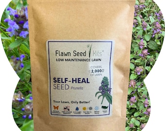 Flawn Seed Self-Heal &quot;Heal-All&quot; Flowering Lawn Seed - Easy to Use, Kid, Pet, Pollinator & Eco-Friendly Grass Alternative