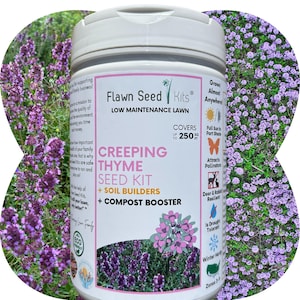 Creeping Thyme Lawn Seed Shaker Kit: Pollinator-Friendly, Eco-Friendly Grass Alternative 250-10,000 SqFt