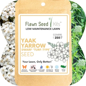 Yaak Yarrow Dwarf Flowering Lawn Seed: Pollinator Friendly Grass Alternative 250-2,500 SqFt