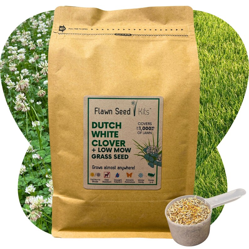 Flawn Seed Dutch White Clover Low Mow Fine Fescue Lawn Seed Easy to Use