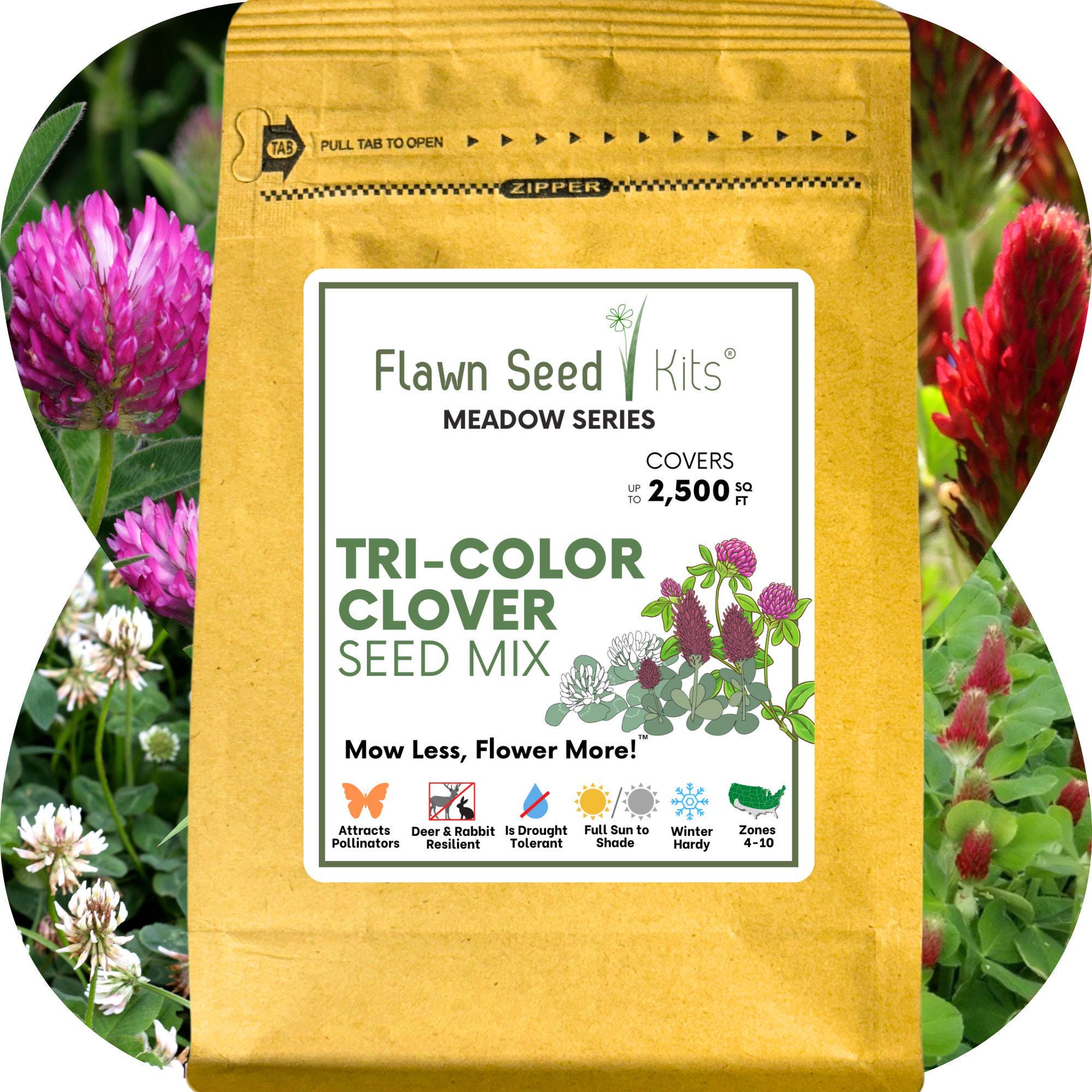 Tri-color Clover Lawn Seed: Pollinator-friendly, Eco-friendly 250