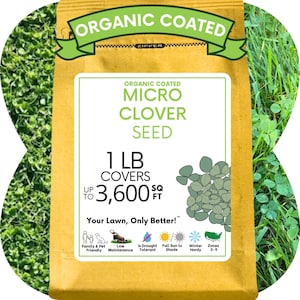 Micro Clover Lawn Seed: Eco-Friendly, Pollinator-Friendly Grass Alternative