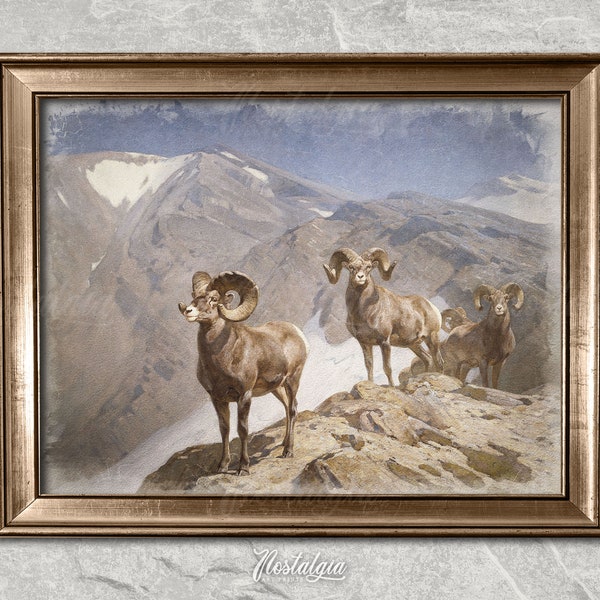 Peinture de moutons à grosse corne | Impression animale | peinture à l’huile vintage | Art imprimable | Téléchargement numérique | 247