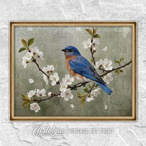 Bird Print Livingroom Wall Decor Vintage Animal Painting Rustic PRINTABLE Art Digital Download, 684