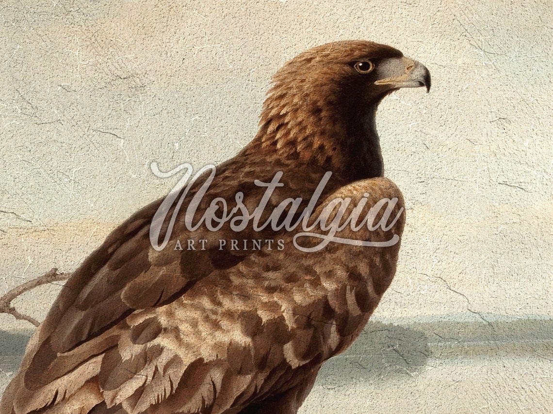 Eagle Oil Painting | Vintage Wall Art | Golden Eagle Print | PRINTABLE ...