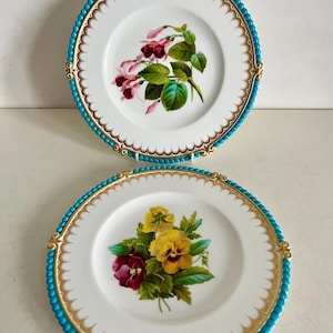 Pair Of English Antique Cabinet Plates Botanical Cauldon Place 1870 VGC!