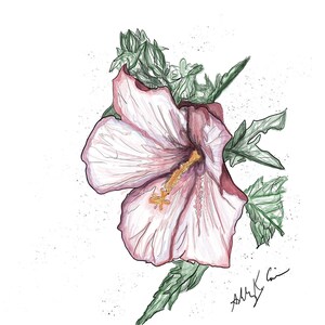Hibiscus Drawing Digital Print