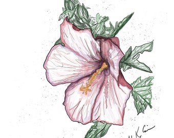 Hibiskus Zeichnung Digitaldruck