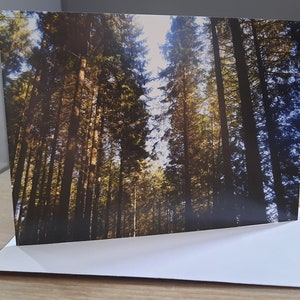 Trees & woodland forest scenery blank greeting card