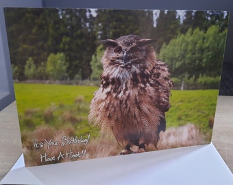 Owl blank birthday card